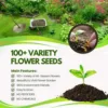 Multiple Variety Of Flower Seeds (Pack of 100 Seeds)