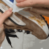 Instant Shoe Cleaning Wipes
